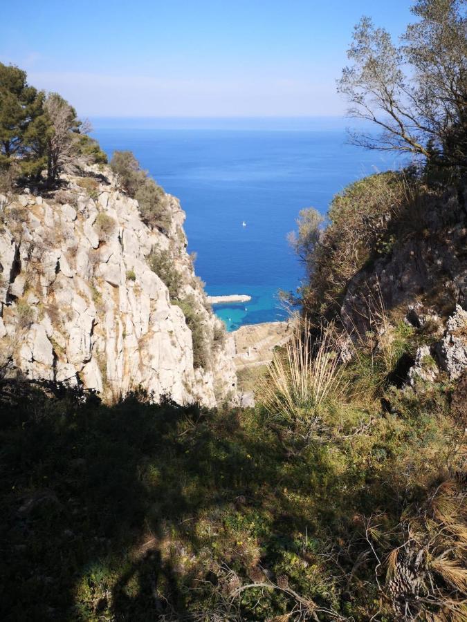 Appartamento Valverde パレルモ エクステリア 写真